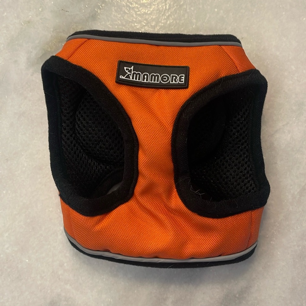 XS pet harness.